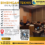 INFO TRAINING SCM 2024-2025