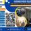 Bimtek Strategi Implementasi Integrasi Pelayanan Kesehatan Primer ILP Kepmenkes No. 2015/2023