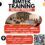 Training Audit Internal Bank Dan Teknik Pemeriksaan 2024 -2025