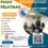 Training Systems Analysis & Design Fundamentals 2025 -2026
