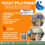 Pelatihan FINON Finance For Non Finance 2027